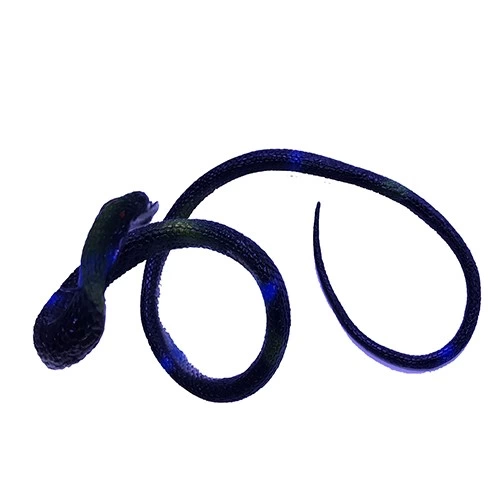 Siyah Renk Gerçekçi Kobra Model Silikon Yumuşak Yılan 80 Cm - Görsel 4