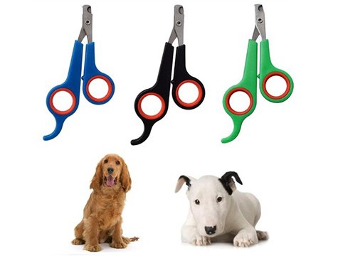 Evcil Hayvan & Kedi Köpek Tırnak Makası kapıda ödem