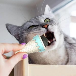Dondurma Şeklinde Kedi Nanesi Kedi Otu kapıda ödem