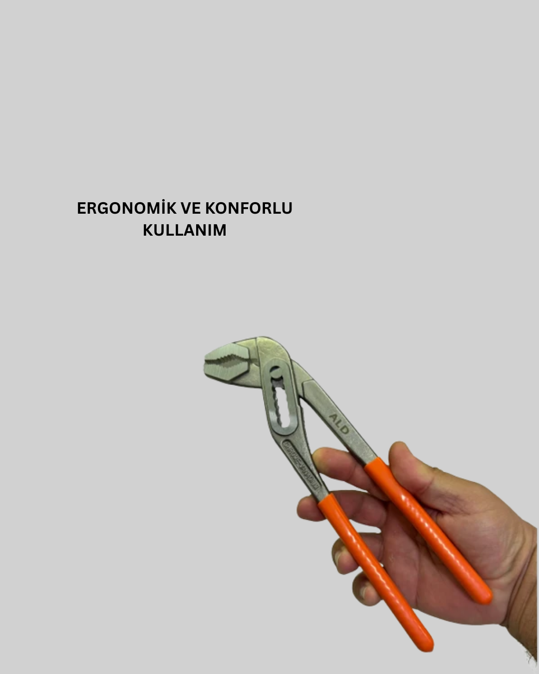AYARLI PENSE