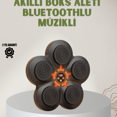 Bluetoothlu Akıllı Boks Antrenman Cihazı Işıklı Hedefli Kardiyo ve Fitness Aleti