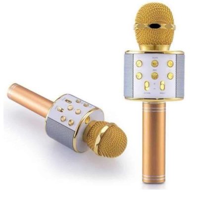 Karaoke Mikrofon Dahili Hoparlörlü Sd-usb-aux Girişli Bluetooth Hoparlör